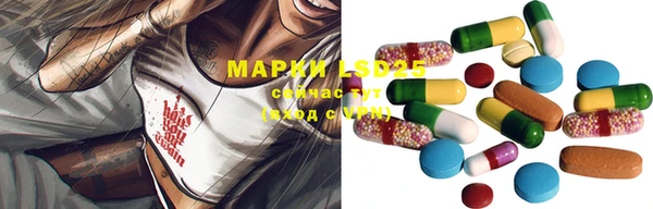прущие грибы Алексеевка