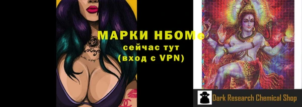 прущие грибы Алексеевка