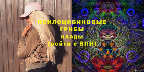 мдпв Алзамай